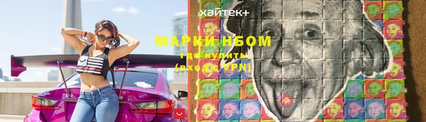 стаф Кодинск
