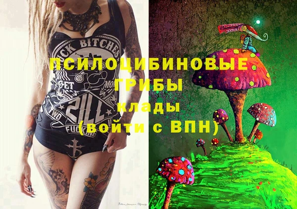 шишки Козловка