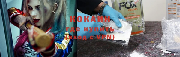 шишки Козловка