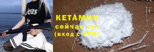 индика Козельск