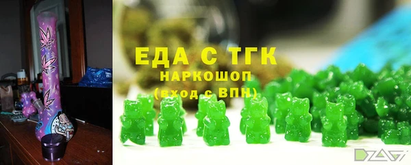 индика Козельск