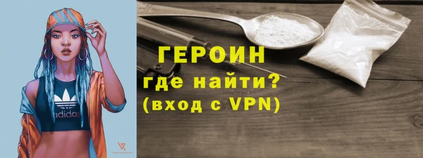 индика Козельск