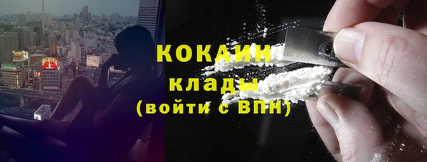 индика Козельск