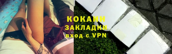 стаф Кодинск