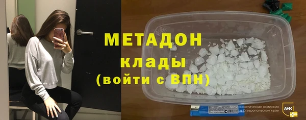 индика Козельск