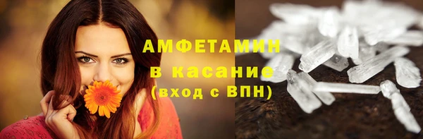 стаф Кодинск