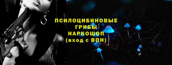 шишки Козловка