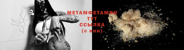 индика Козельск