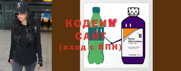 индика Козельск