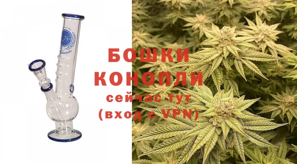 стаф Кодинск