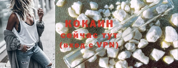 индика Козельск