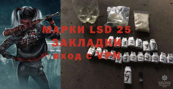 индика Козельск