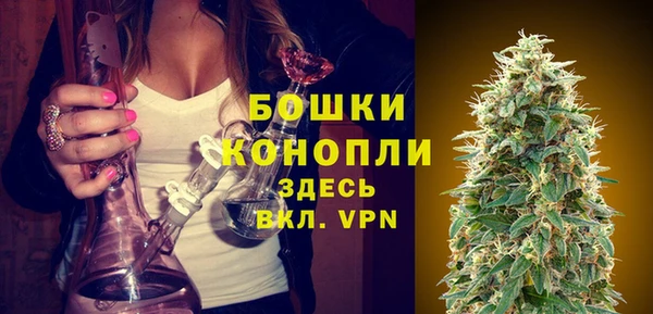 индика Козельск