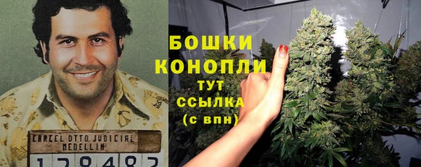индика Козельск