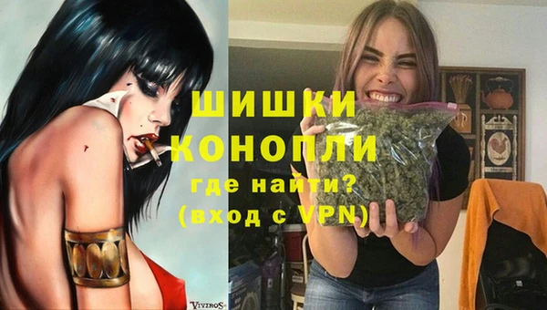 индика Козельск
