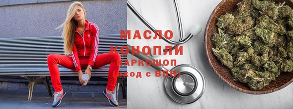 индика Козельск