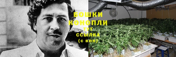 стаф Кодинск