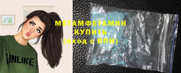 индика Козельск