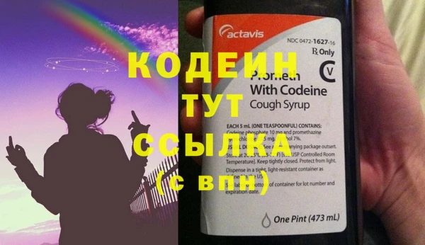 индика Козельск