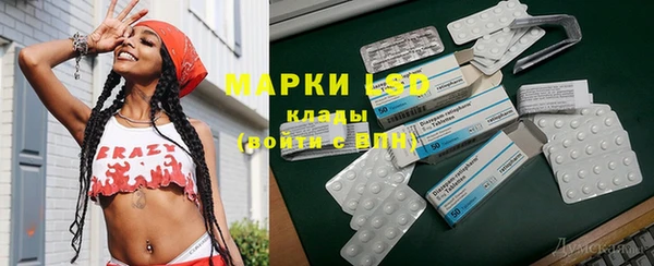 стаф Кодинск