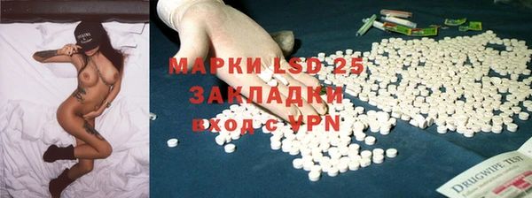 стаф Кодинск
