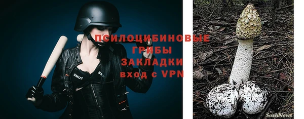 стаф Кодинск