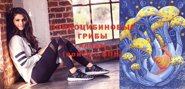 стаф Кодинск