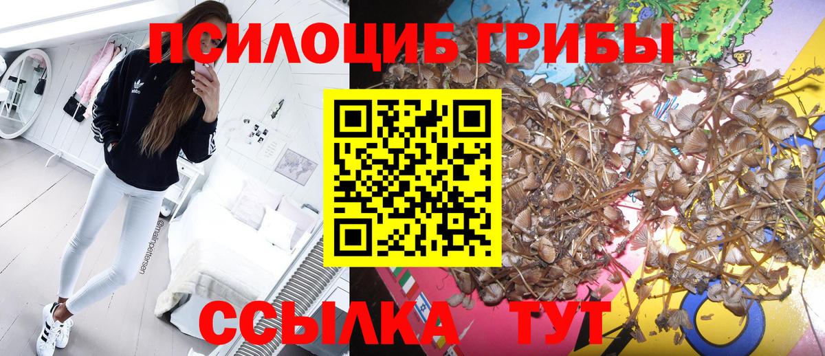 Узловая  Галлюциногенные грибы Magic Shrooms  где можно купить наркотик  Вход с VPN  Псилоцибиновые грибы ЛСД 